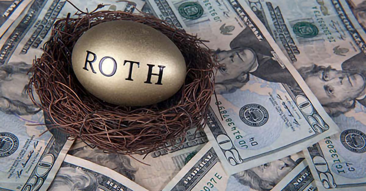 Image of a nest with a golden egg that says 'ROTH' placed in it, with money in the background